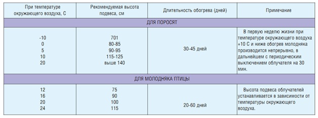 _editor_1345.jpg