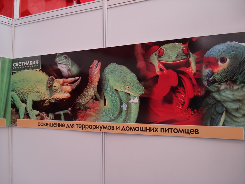 _editor_DSC03878.jpg