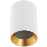 Светильник потолочный накладной GTV OS-AER20W-10 AERO, MR16 GU10, IP20, белый, золото
