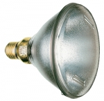PAR38 SPOT 240V 120W E27