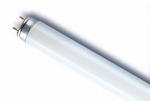 15W/77 FLUORA T8