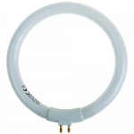 ����� �������������� ��������� ��� ���� REXANT 31-0808 (31-0242), 12W, G10q, 220V, 570lm, 6500K, �������� ����� ����